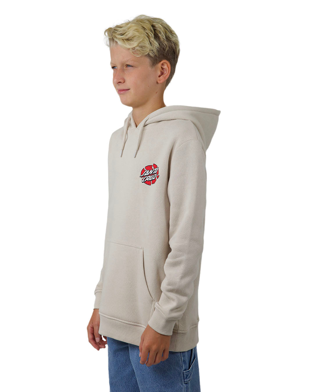 Santa Cruz Meek SC Slasher Hoody - Concrete